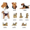 Airedale Terrier Personalised Special Offer Bumbag