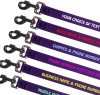 Lead Colour Choice: Purple