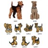Welsh Terrier Personalised Special Offer Bumbag