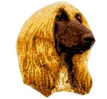 Afghan Hound