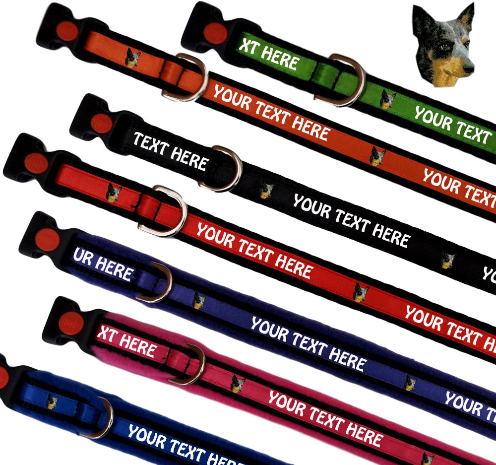 Australian Cattle Dog Personalised Dog Collars