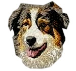 Australian Shepherd