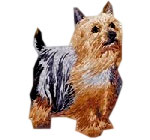 Australian Silky Terrier