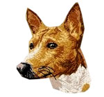 Basenji