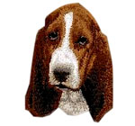 Basset Hound