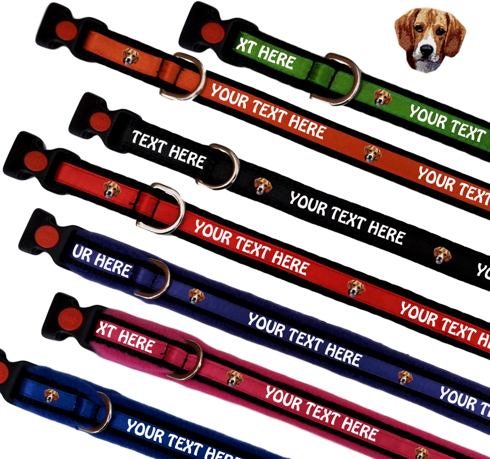 Beagle Personalised Dog Collars