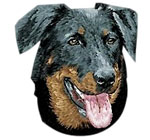 Beauceron