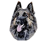 Belgian Shepherd Dog