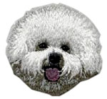 Bichon Frise