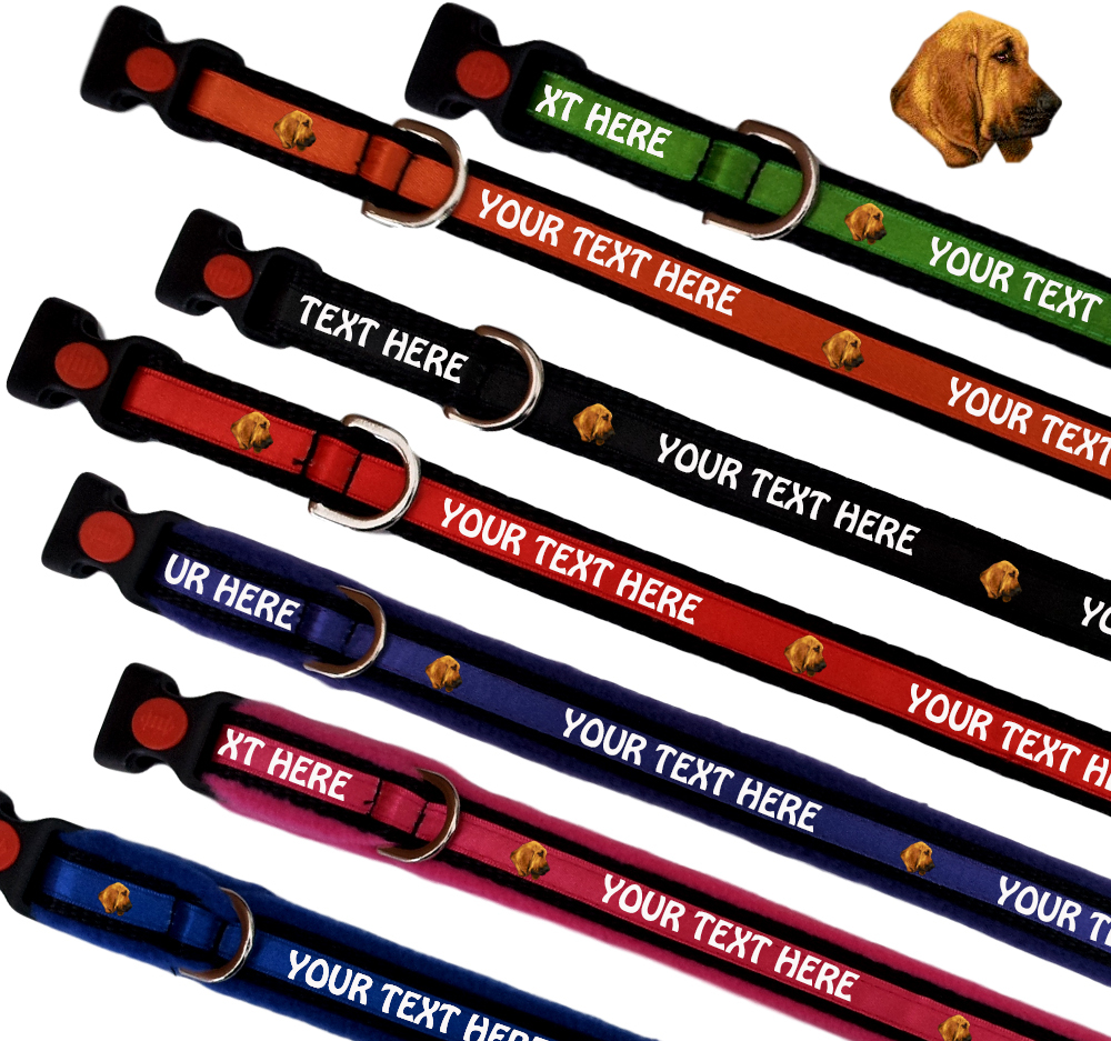 Bloodhound Personalised Dog Collars