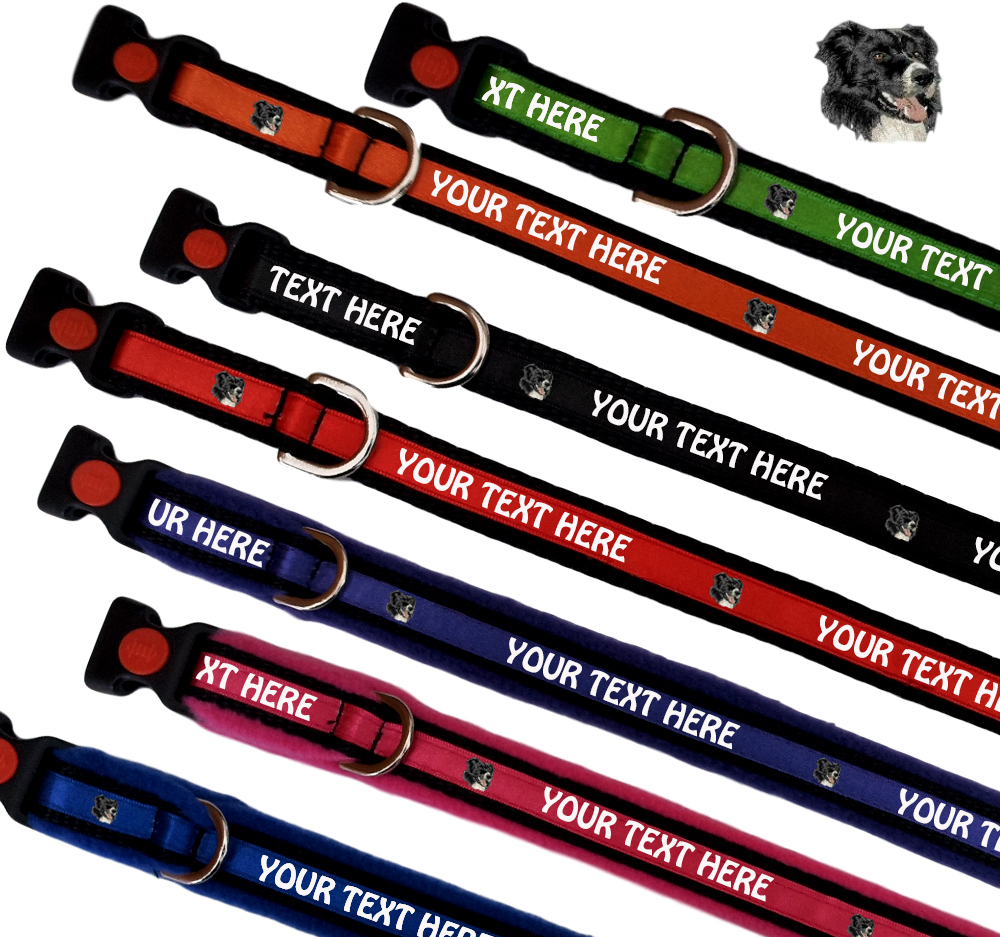 Border Collie Personalised Dog Collars