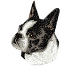 Boston Terrier