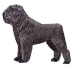 Bouvier Des Flandres