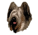 Briard