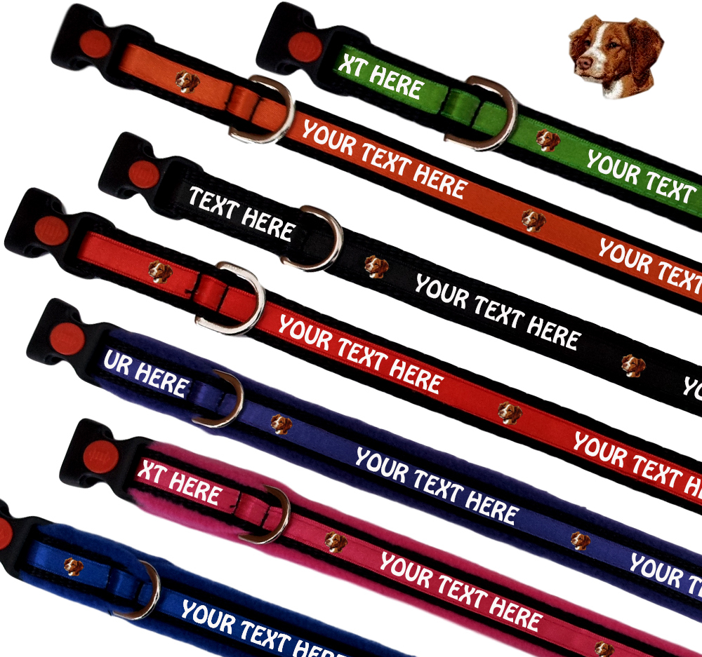 Brittany Spaniel Personalised Dog Collars