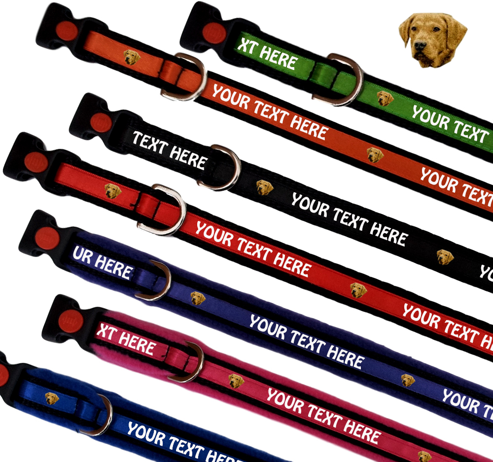 Chesapeake Bay Retriever Personalised Dog Collars