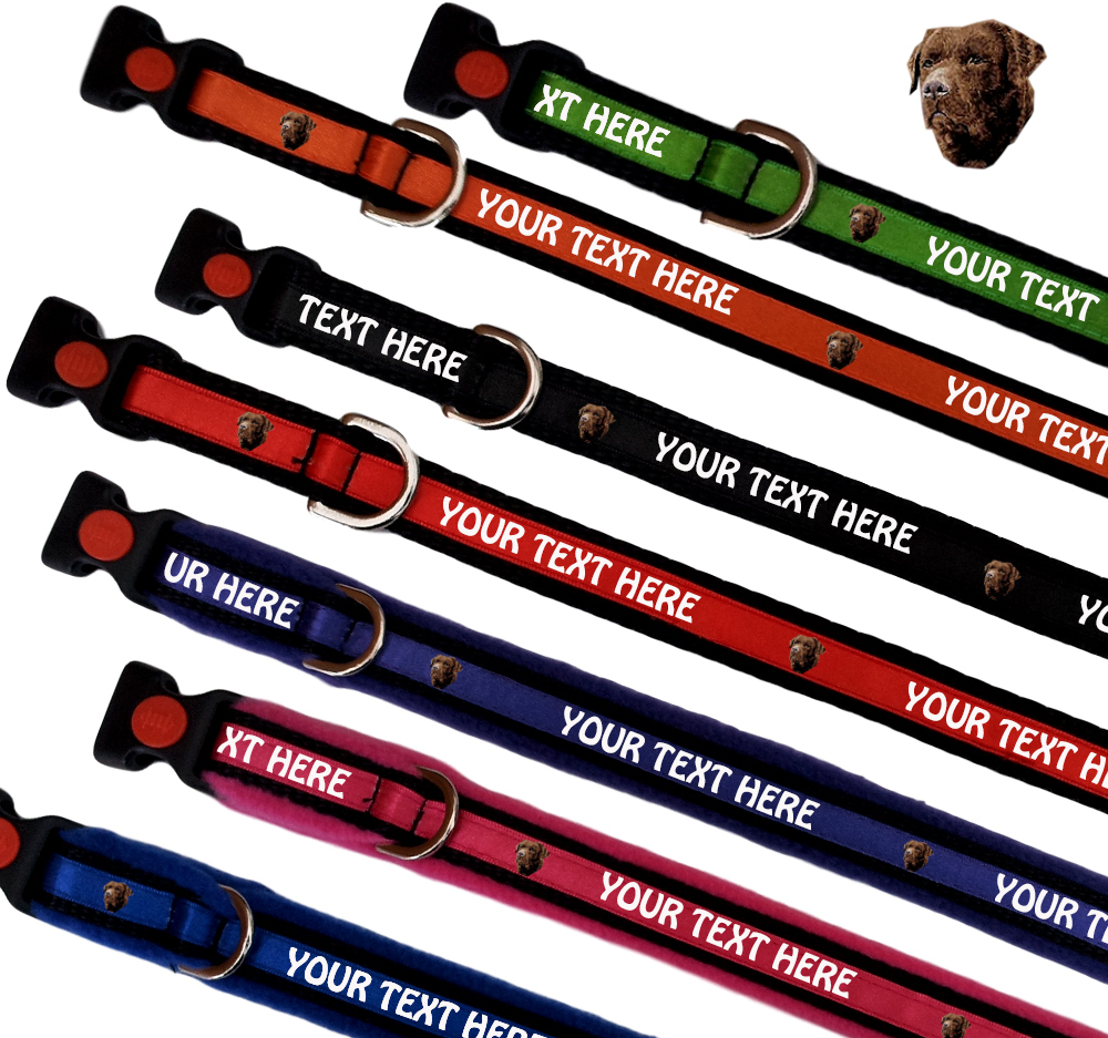Chocolate Labrador Retriever Personalised Dog Collars