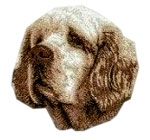 Clumber Spaniel