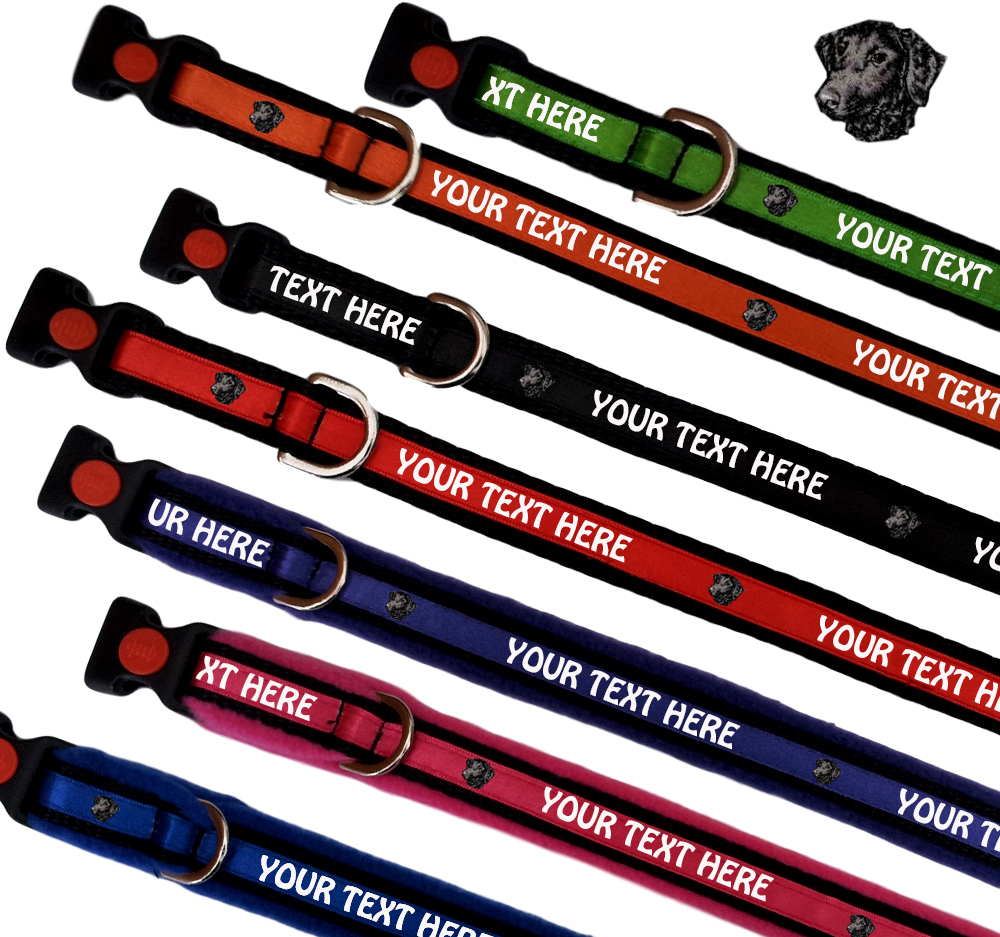 Curly Coated Retriever Personalised Dog Collars