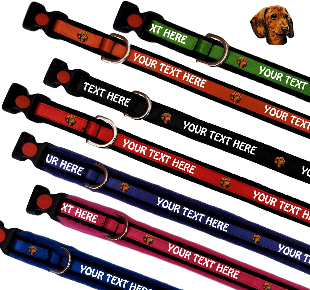 Dachshund Personalised Dog Collars