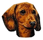 Dachshund