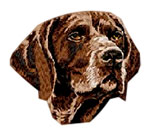 German Shorthaired Pointer