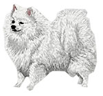 German Spitz