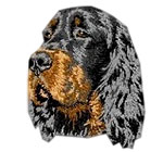 Gordon Setter