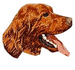 Irish Red Setter