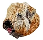 Irish Soft Coated Wheaten Terrier