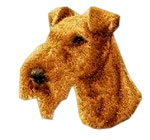 Irish Terrier