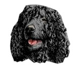 Irish Water Spaniel