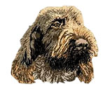 Italian Spinone