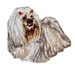 Lhasa Apso