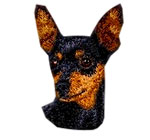 Miniature Pinscher