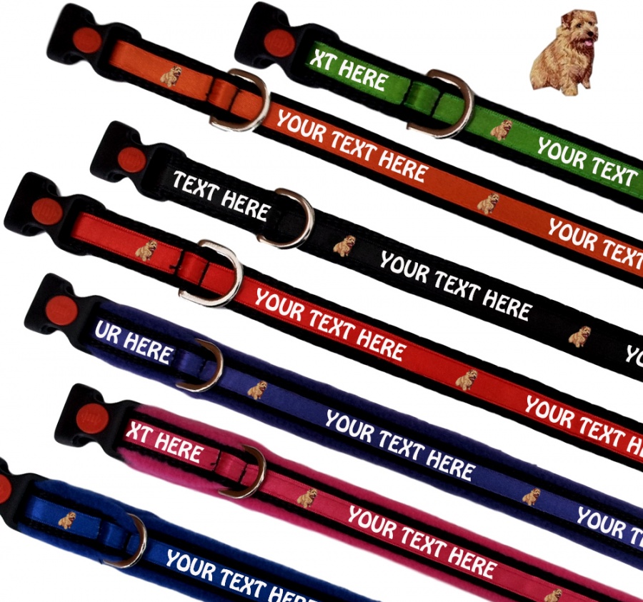 Norfolk Terrier Personalised Dog Collars