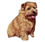 Norfolk Terrier