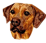 Rhodesian Ridgeback