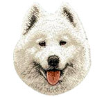 Samoyed