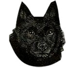 Schipperke