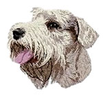 Sealyham Terrier