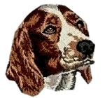 Welsh Springer Spaniel