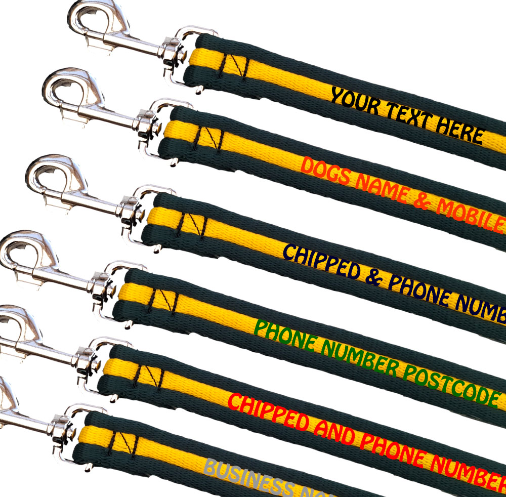 Embroidered Dog Leads Padded Webbing Range Medium Large Dogs - Bottle Yellow Bottle