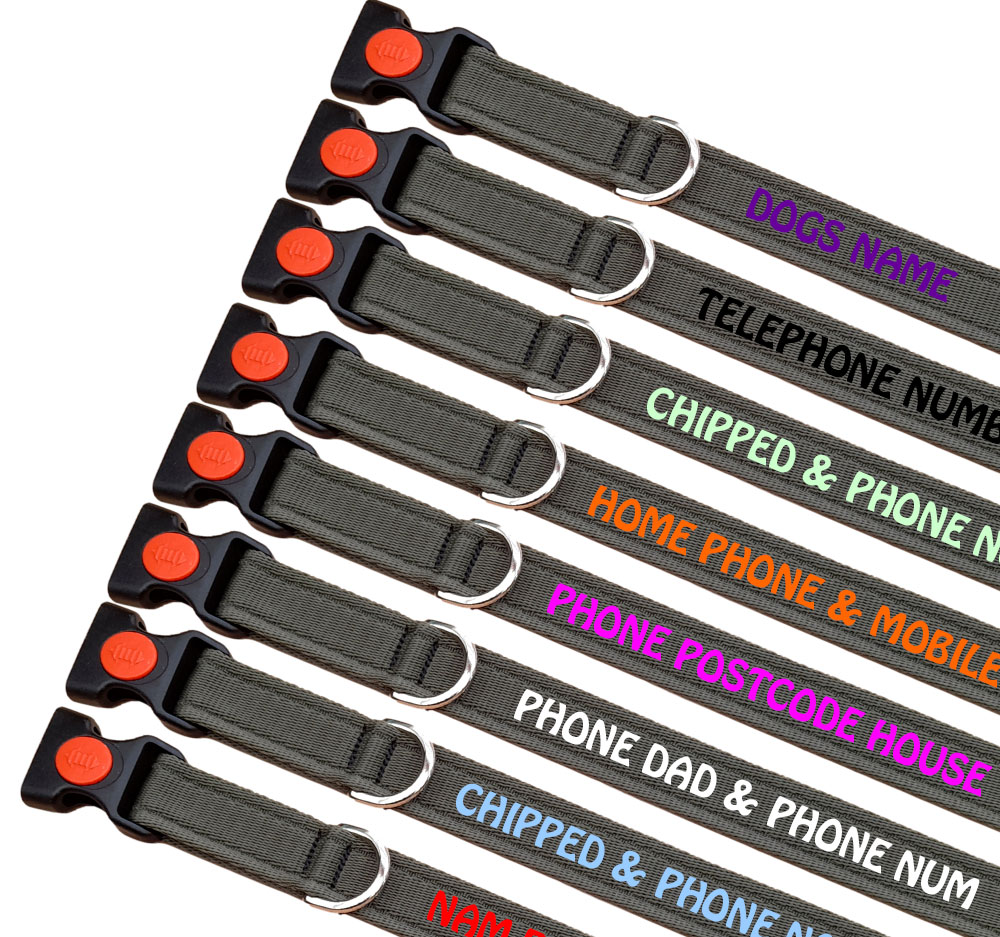 Embroidered Dog Collars 24 Hr Dispatch 100 Quality UK Company