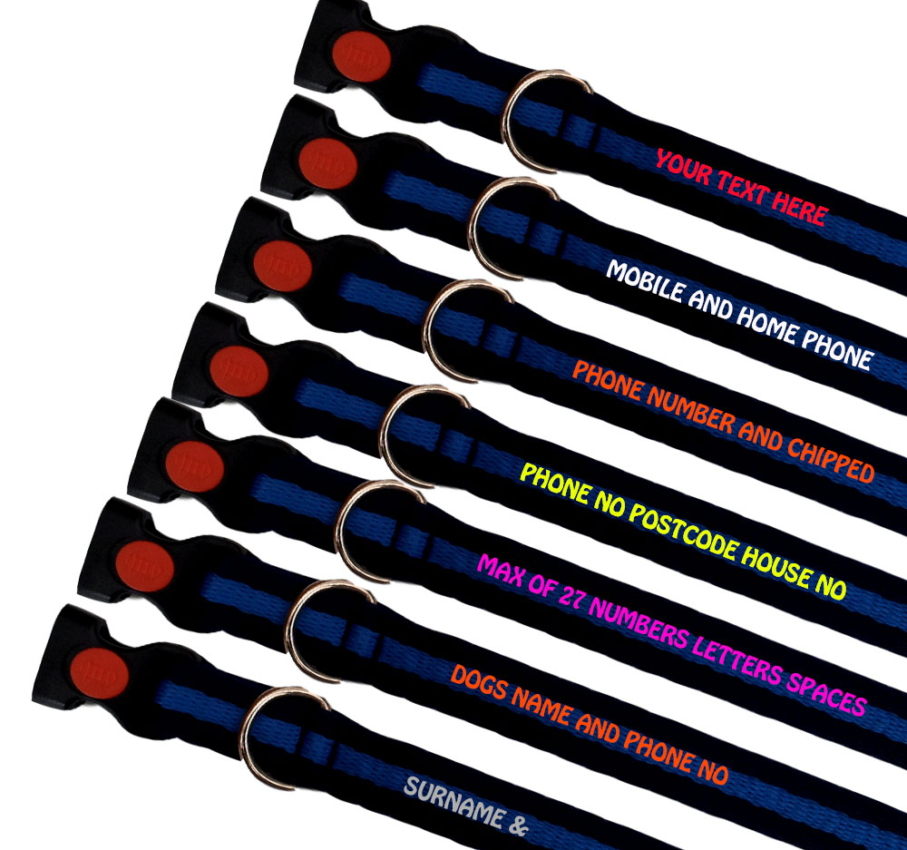 Embroidered Dog Collars Padded Range For Small Dogs - Colour Navy Royal Striped