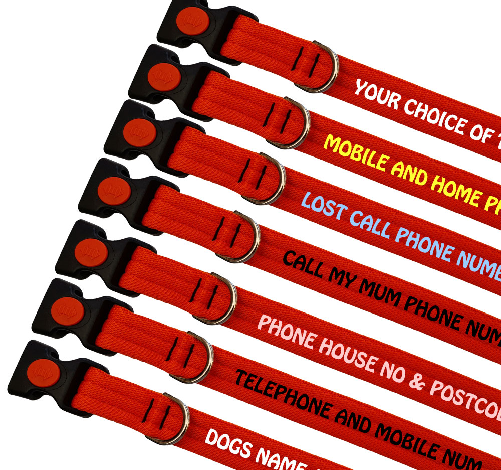 Embroidered Dog Collars Padded Range For Medium Large Dogs - Colour Orange