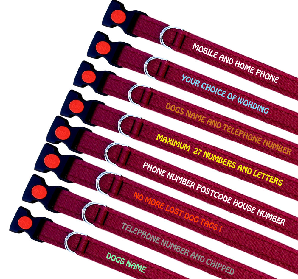 Embroidered Dog Collars Uk Embroidered Dog Collars Uk