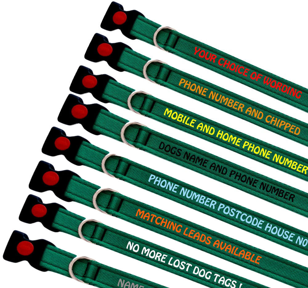 Embroidered Dog Collars | Lightweight Range | Emerald