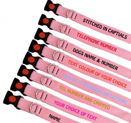 Light Pink Embroidered Dog Collars Lightweight Range - Discounted Bulk Buy