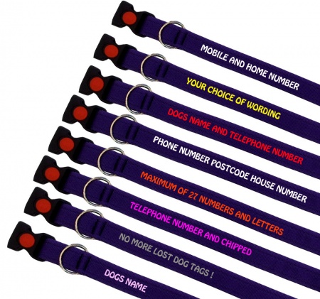 Purple Embroidered Dog Collars Lightweight Range - Discounted Bulk Buy